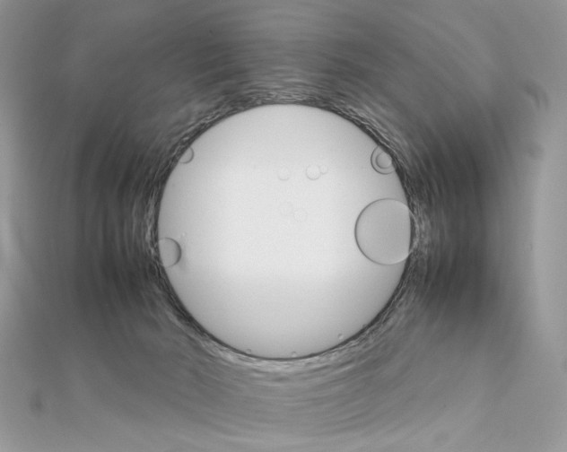 X0000111230030200908131132