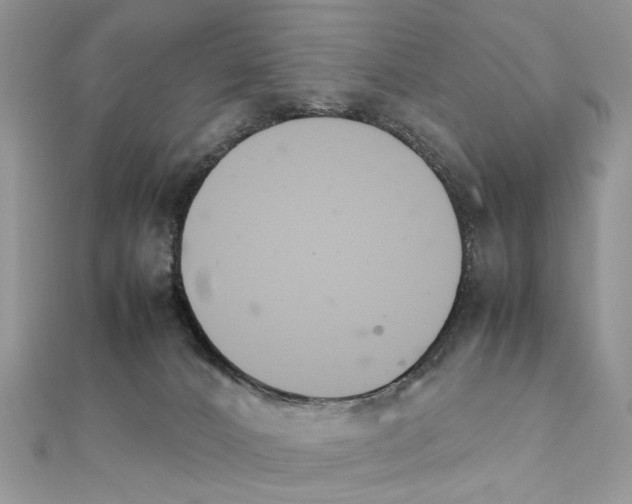 X0000111230032200908131132