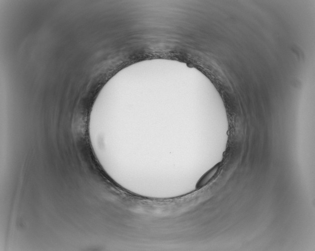 X0000111230033200908131132