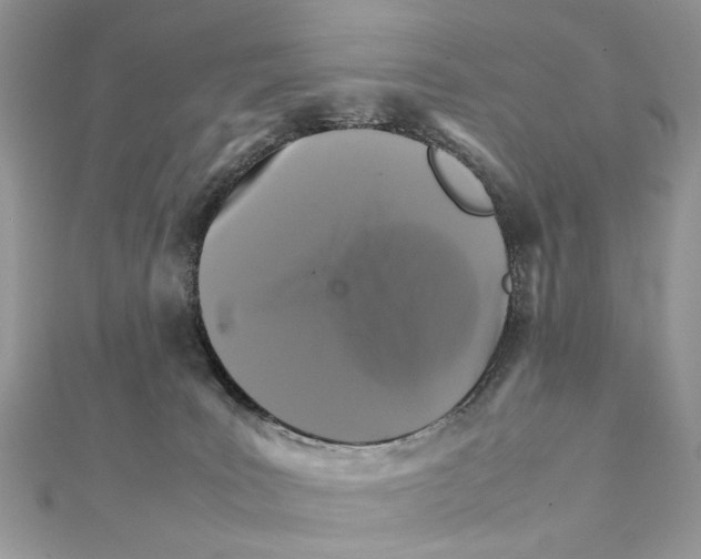 X0000111230035200908131132