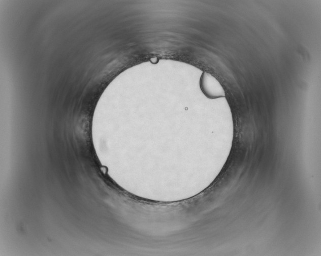 X0000111230036200908131132