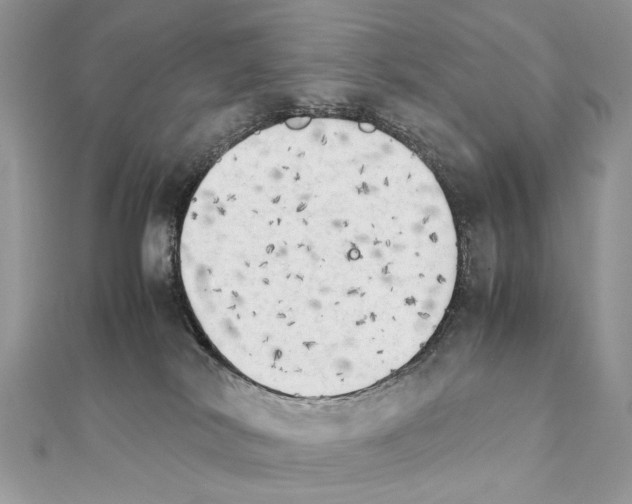 X0000111230038200908131132
