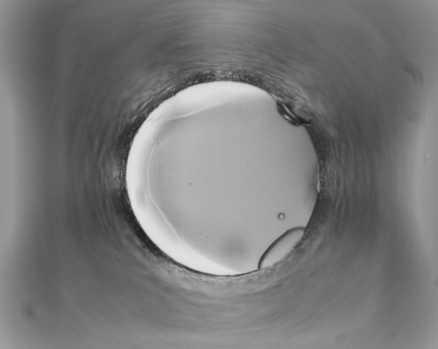 X0000111230039200908131132