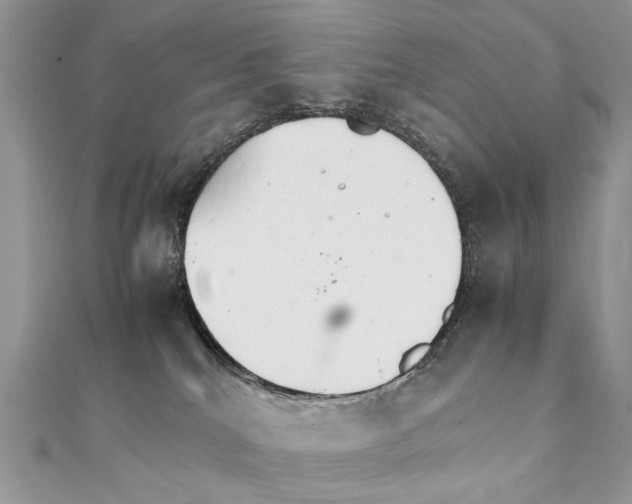 X0000111230040200908131132
