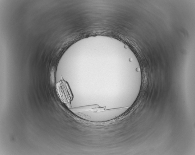 X0000111230042200908131132