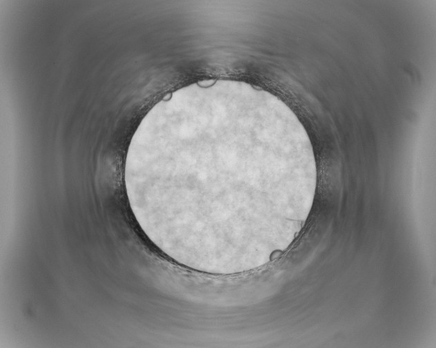 X0000111230043200908131132