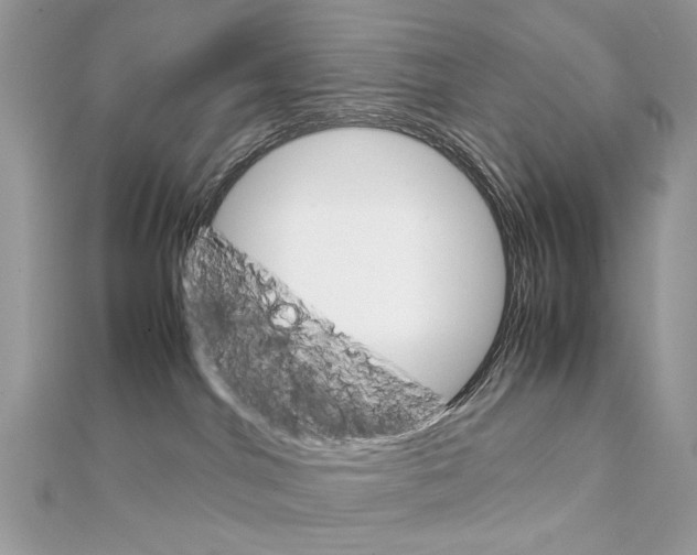 X0000111230044200908131132