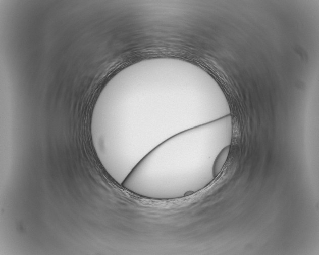 X0000111230045200908131132