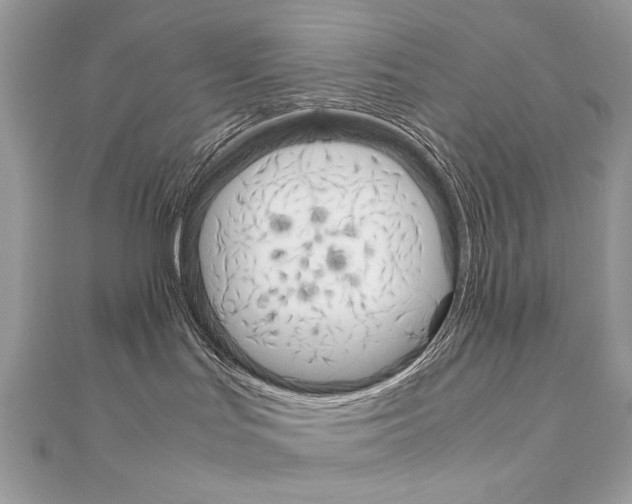 X0000111230047200908131132