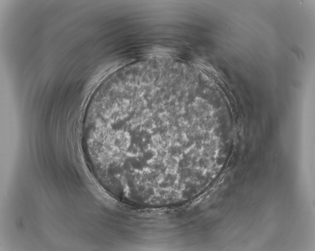 X0000111230049200908131131