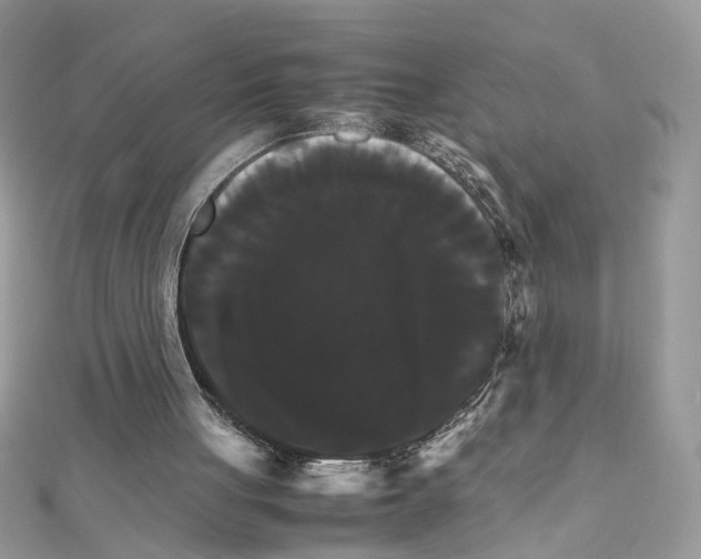 X0000111230051200908131131