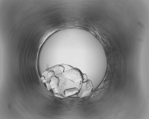 X0000111230052200908131131