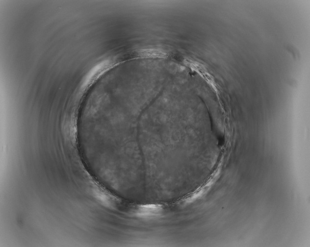 X0000111230053200908131131