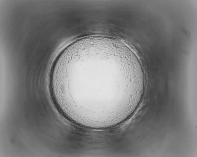 X0000111230055200908131131