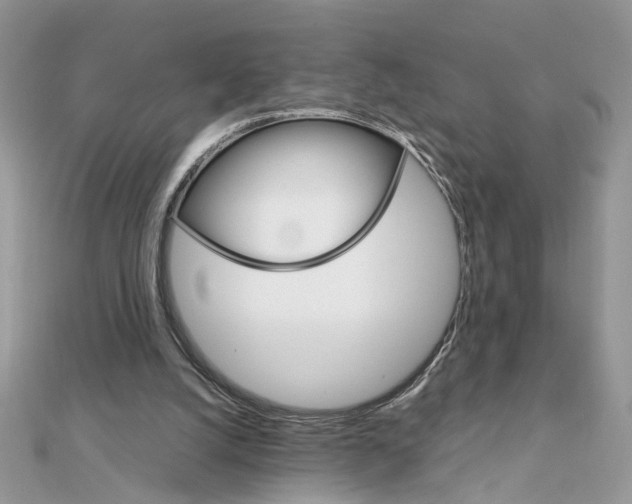 X0000111230056200908131131