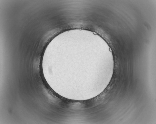 X0000111230058200908131131