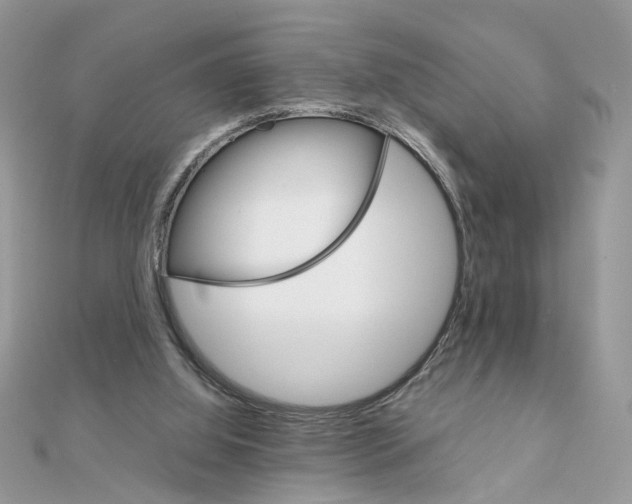 X0000111230060200908131131