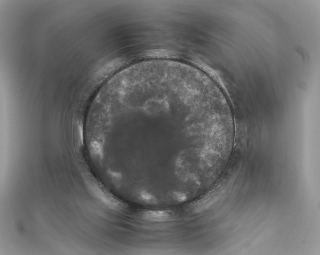 X0000111230061200908131131
