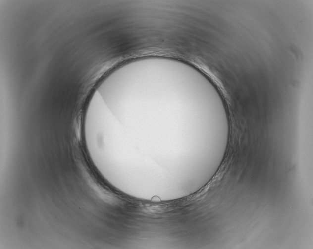 X0000111230062200908131131