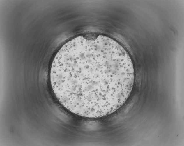 X0000111230063200908131131