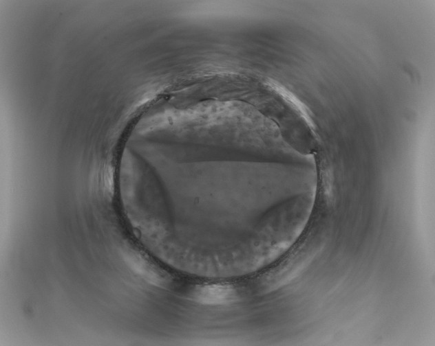 X0000111230067200908131131