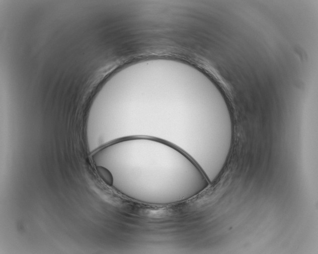 X0000111230068200908131131