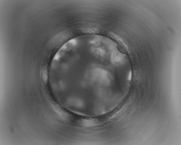 X0000111230069200908131131