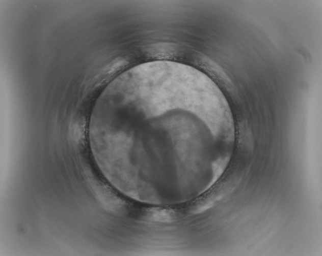X0000111230073200908131131