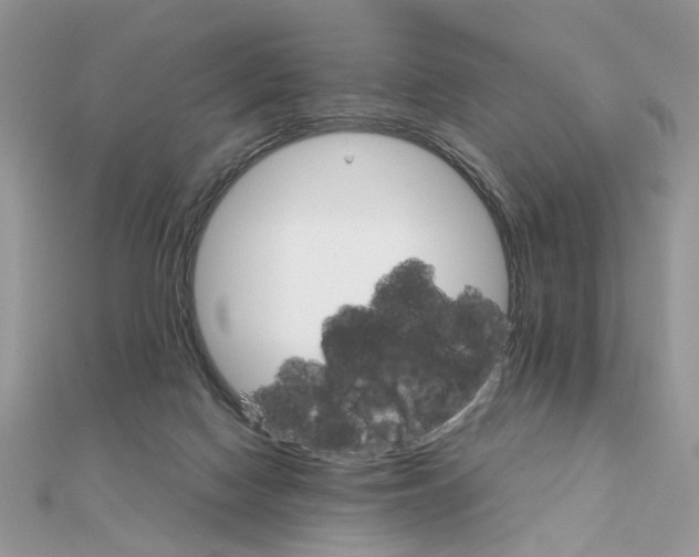 X0000111230074200908131131