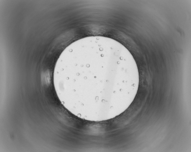 X0000111230075200908131131