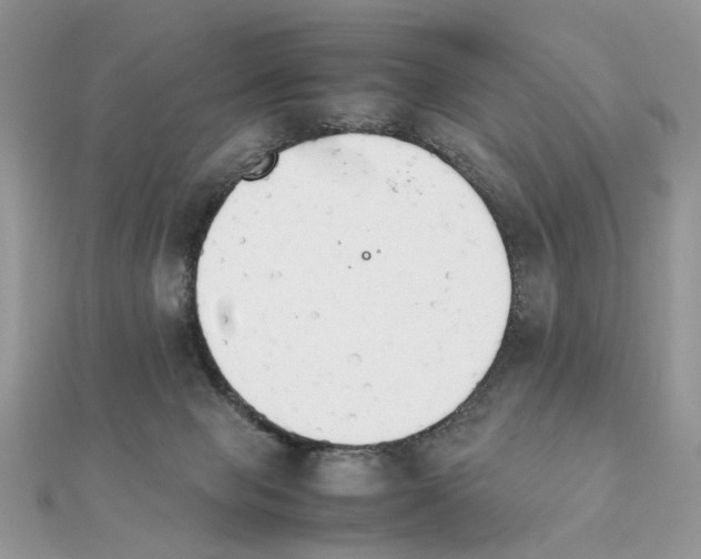 X0000111230077200908131131