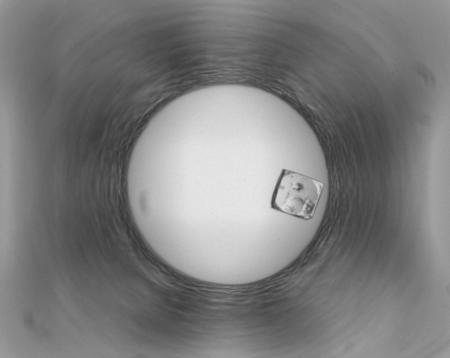 X0000111230080200908131131