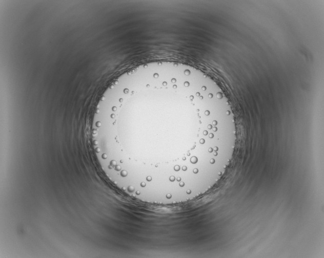 X0000111230083200908131131
