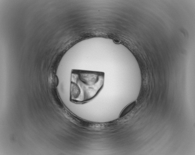 X0000111230084200908131131