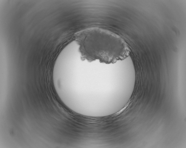 X0000111230086200908131131