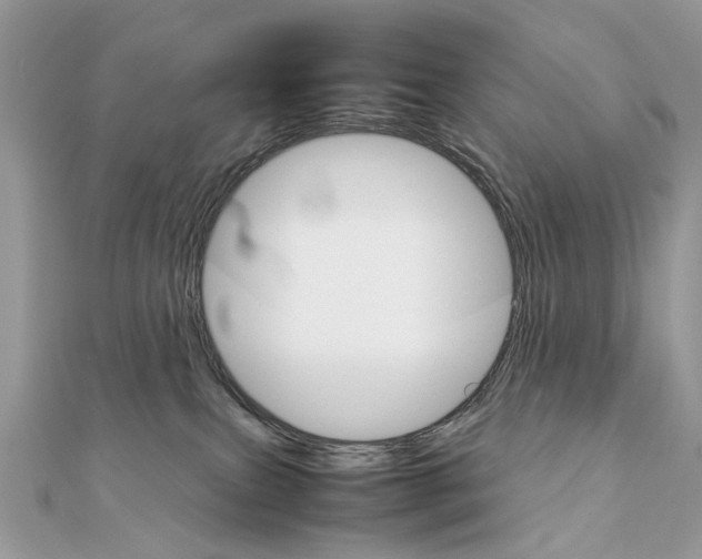 X0000111230087200908131131