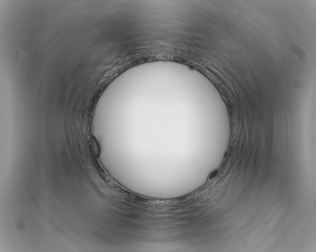 X0000111230088200908131131