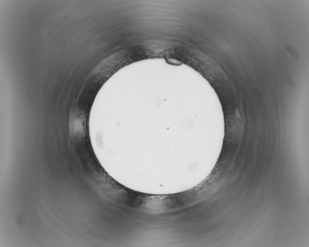 X0000111230090200908131131
