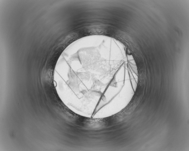 X0000111230093200908131131