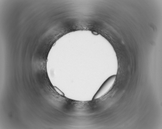 X0000111230096200908131132
