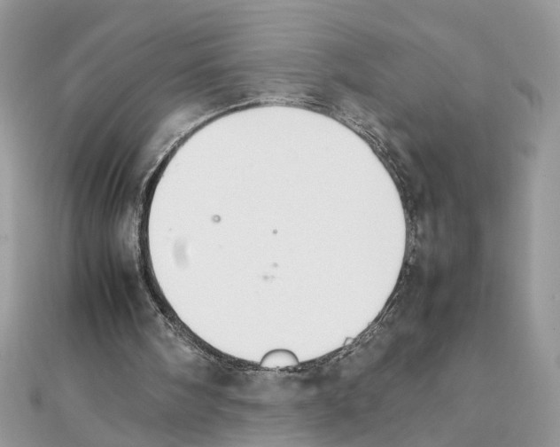 X0000111230098200908131131