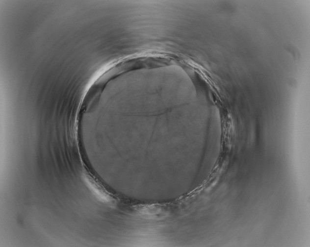 X0000111230100200908131131