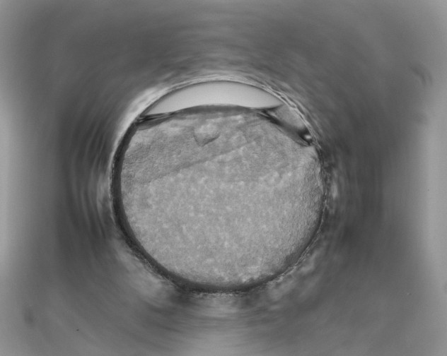 X0000111230104200908131131