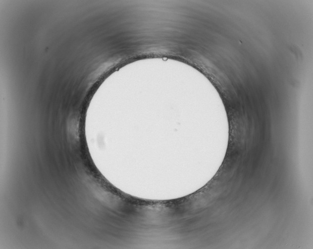 X0000111230112200908131131
