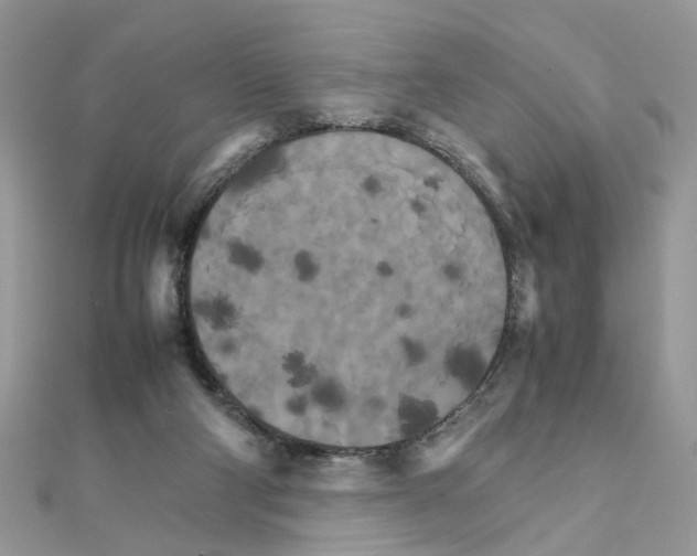 X0000111230114200908131131