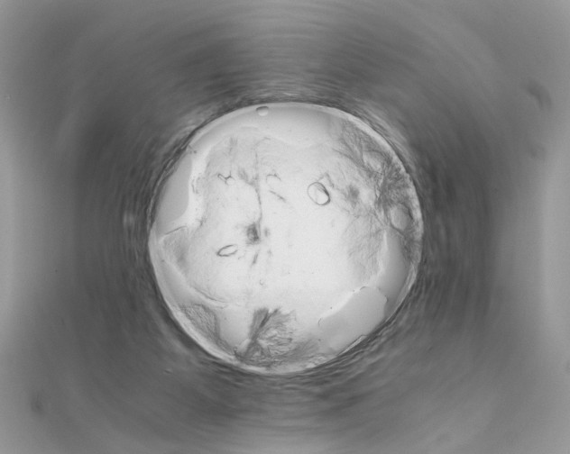 X0000111230115200908131130