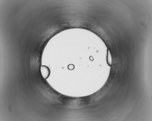 X0000111230116200908131130