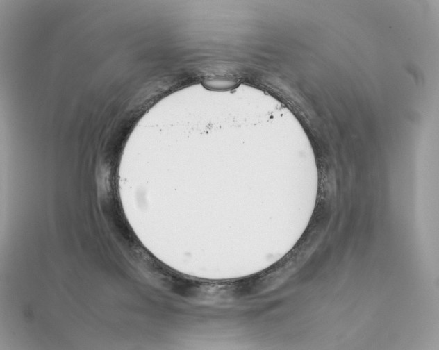 X0000111230117200908131130