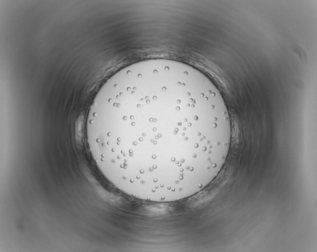 X0000111230118200908131130