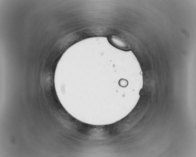 X0000111230119200908131130